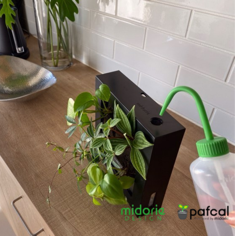 �ڥޥ��ߥɥꥨ������Ĵ�� ���Ѥθ��Ĥȹ�碌�ƺ��