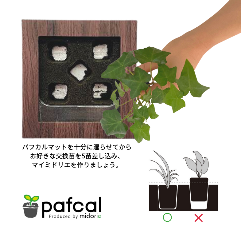 �ڥޥ��ߥɥꥨ������Ĵ�� ���Ѥθ��Ĥȹ�碌�ƺ��