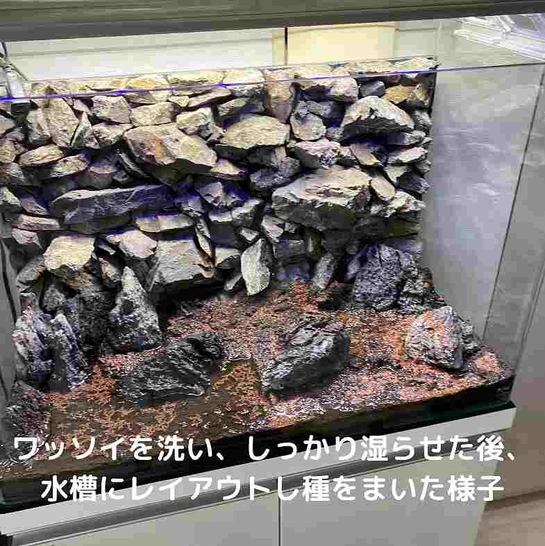 �����ʷ����ڤ����� ���Ū�ʥӥ��ȡ������ھ� ��å���