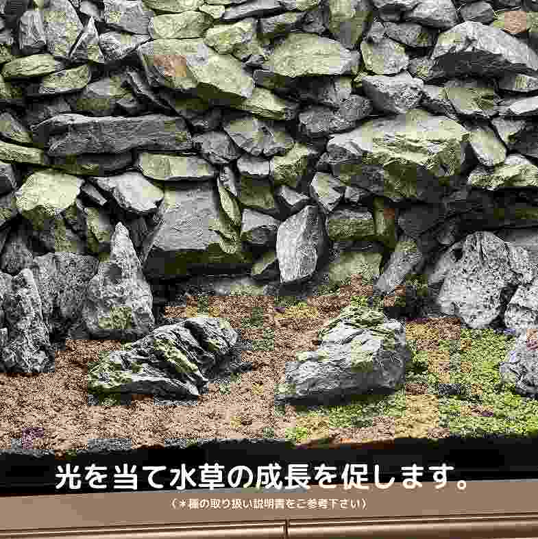 �����ʷ����ڤ����� ���Ū�ʥӥ��ȡ������ھ� ��å���