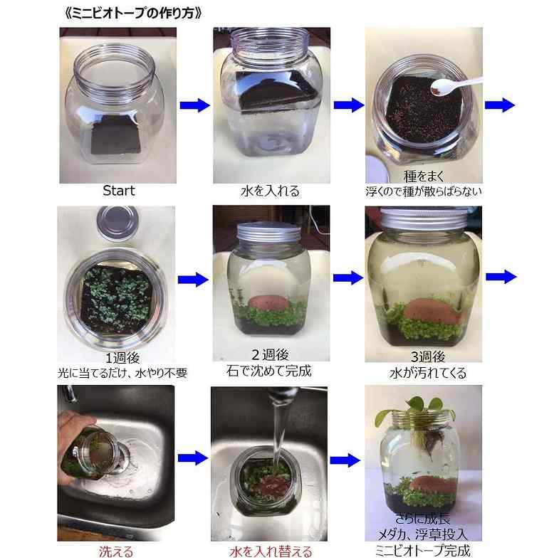 �����ʷ����ڤ����� ���Ū�ʥӥ��ȡ������ھ� ��å���