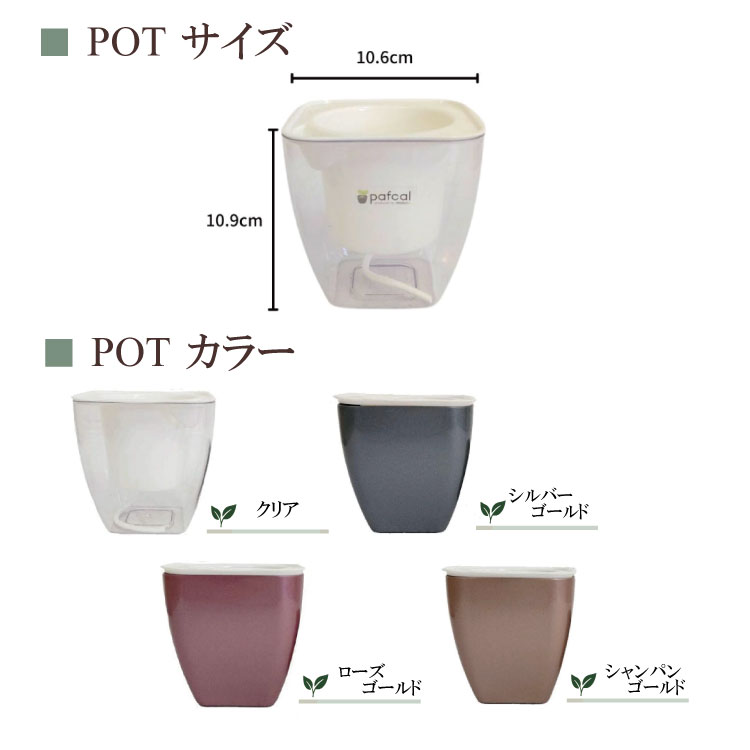 ̵POTPOT-A ñ(3ѥեդ)[٤POT顼]