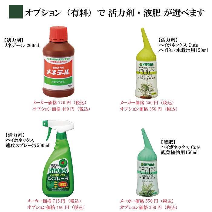 ̵POTPOT-H 󤻿å (٤POT顼ʪǤ)