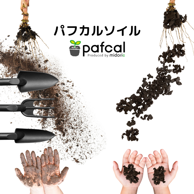 ̵POTPOT-H 󤻿å (٤POT顼ʪǤ)