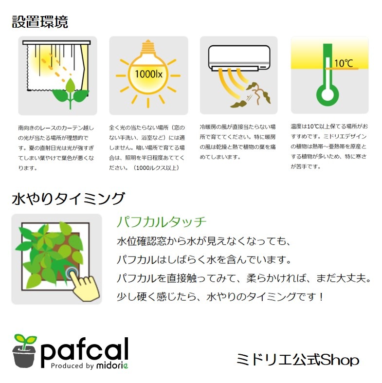 ġ른塼֥饸롡