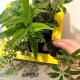 ġ른塼֥饸롡