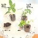 ġ른塼֥饸롡