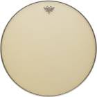 REMO ��� �ƥ���ѥ˥إå� 63.5cm 23