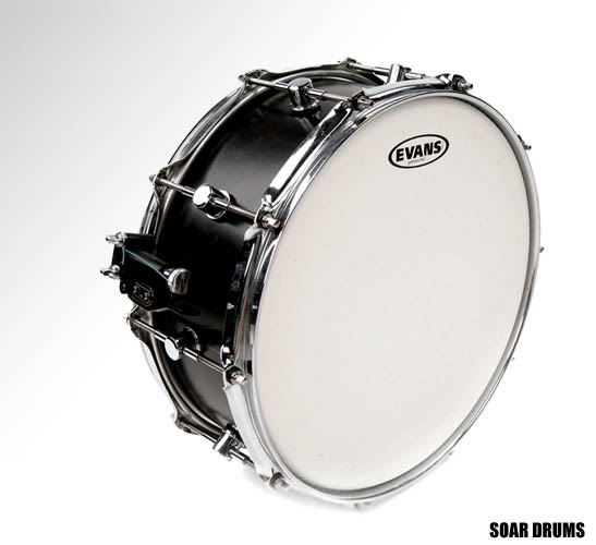 �ɥ��إå� ���ͥ��� Genera �����ͥ�HD ��2�ץ饤�� 13" EVANS�ʥ��Х󥹡� B13HD