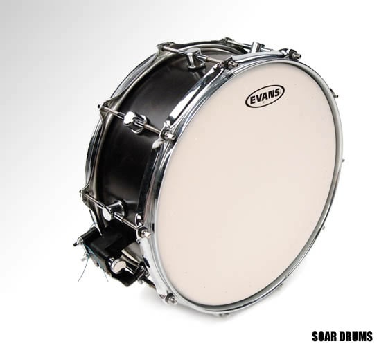�ɥ��إå� ���ͥ��� ST��Super Tough�˥����ѡ����� ��2�ץ饤�� 14" EVANS�ʥ��Х󥹡� B14ST