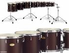 Pearl �ѡ��� ���󥵡��ȥȥ� 6x8����� (15cm x 20cm) �ޥۥ��ˡ� ���֥�إåɥ�ǥ� PTA0608D