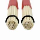 ROHEMA 61368 TAPE BAMBOO ROHEMA ���å�