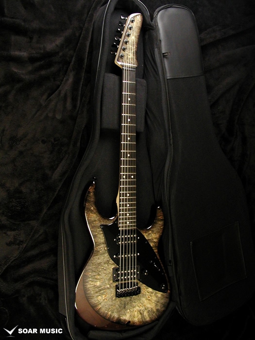James Tyler Guitars Design HSH #JTD0004 (STR)ジェームスタイラー