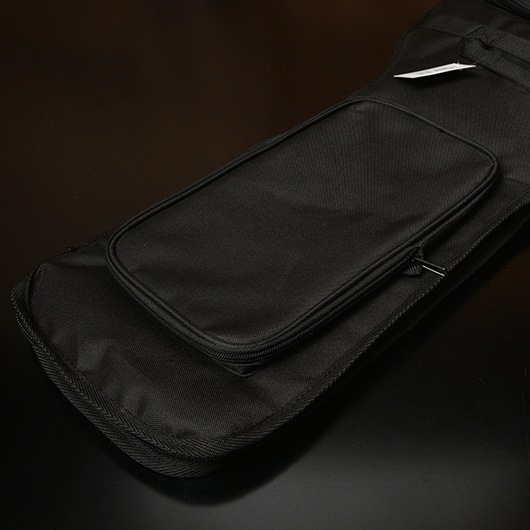 バッカスギター&ギターケース ed10s_1.jpg