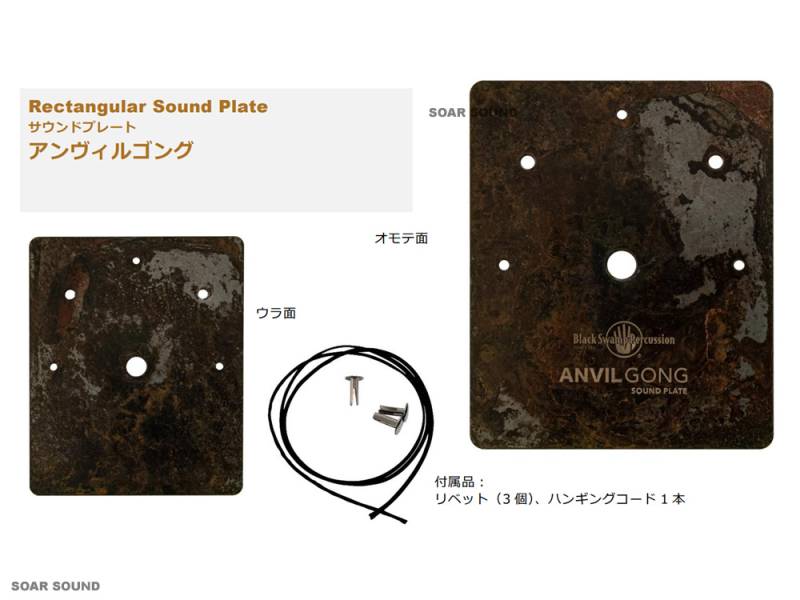 ブラックスワンプ タンバリン TD1 Black Swamp TD1 Chromium 25