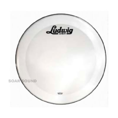 Ludwig ǥå 24 REMO  Хɥ إå LUDWIG LW1224P3SWV 24 HEAD WHITE/SCRIPT ץȥ Хɥ ɥإå