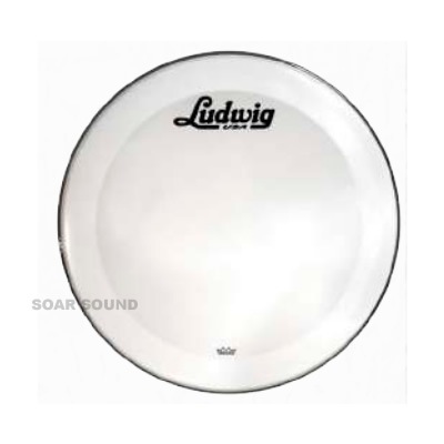 Ludwig ǥå 22 REMO  Хɥ إå LUDWIG LW1222P3SWV 22 HEAD WHITE/SCRIPT ץȥ Хɥ ɥإå