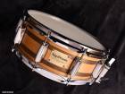   Negi Drums ͥɥ 14
