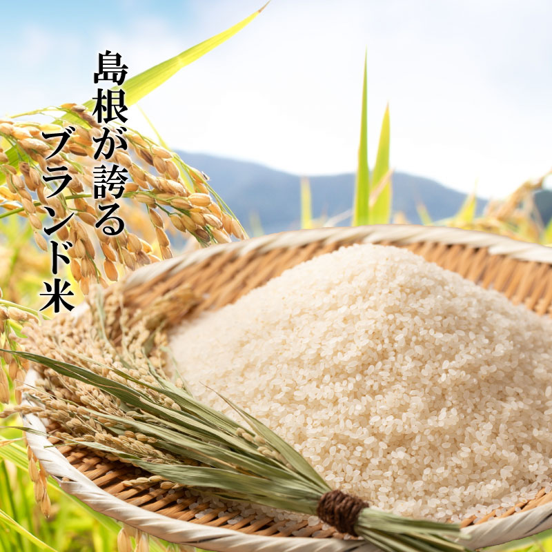 �դ뤵������ء������󥳡����ˡ�����̵����