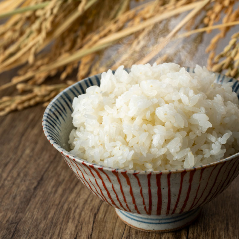 �纬�������£�ǯ�ٻ��׿�¿�ơʥ����ҥ���ˣ��ԡ�����̵����