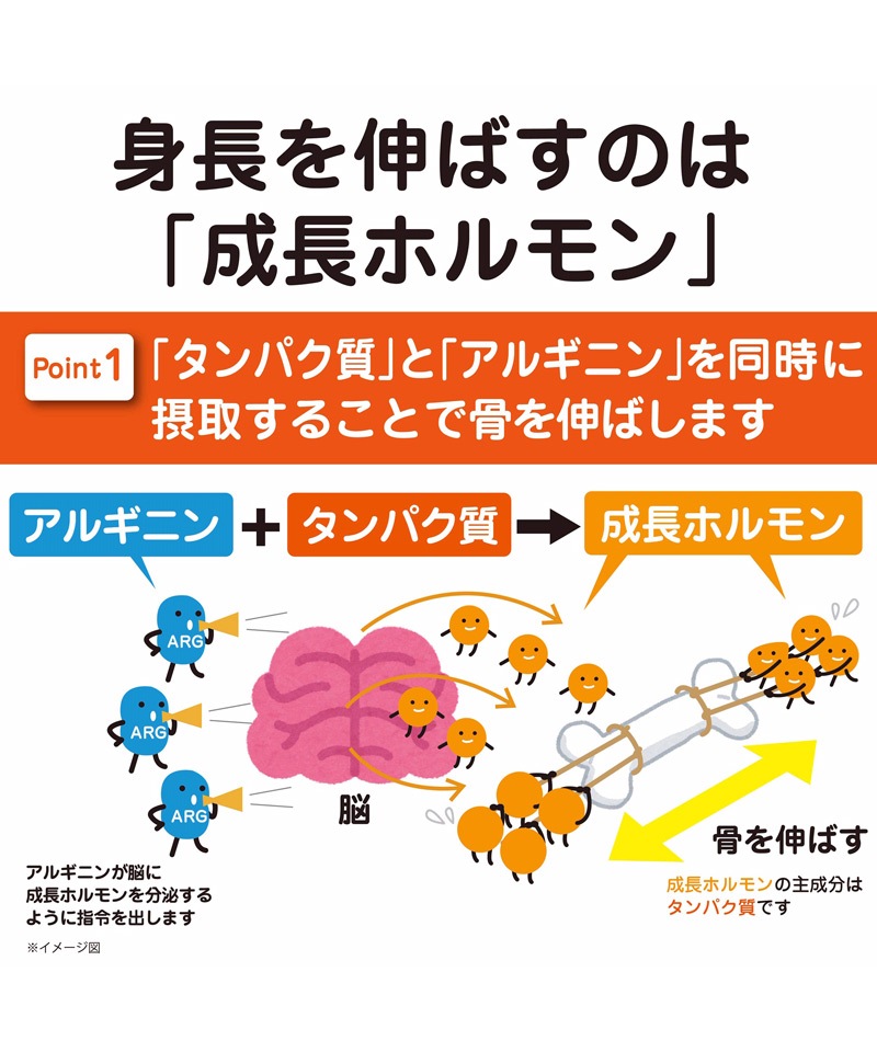 NOBITA �Υӥ� ����˥� �����ץ��ƥ��� 600g (�Ϥ��ߤĥ���)