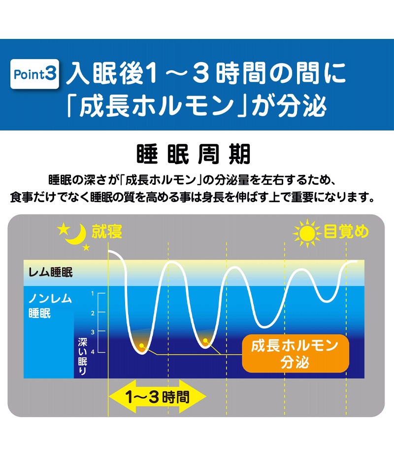 NOBITA Υӥ ˥ ץƥ 600g (ߥ륯)