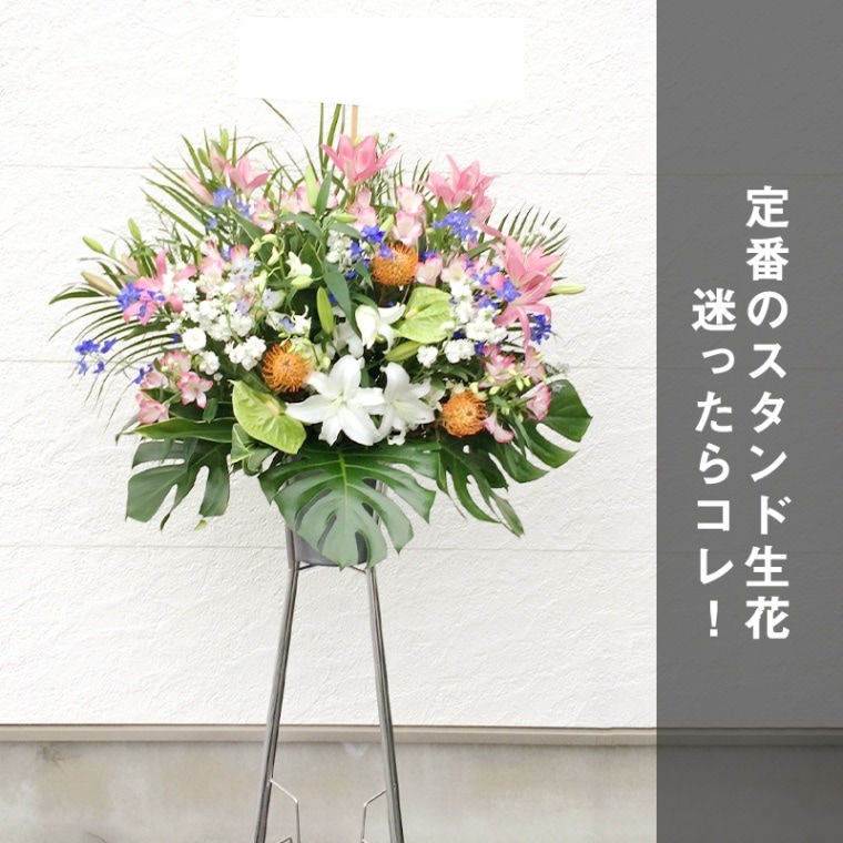  M 1ʡ [Ϥǽꥢ˭ԡ;]