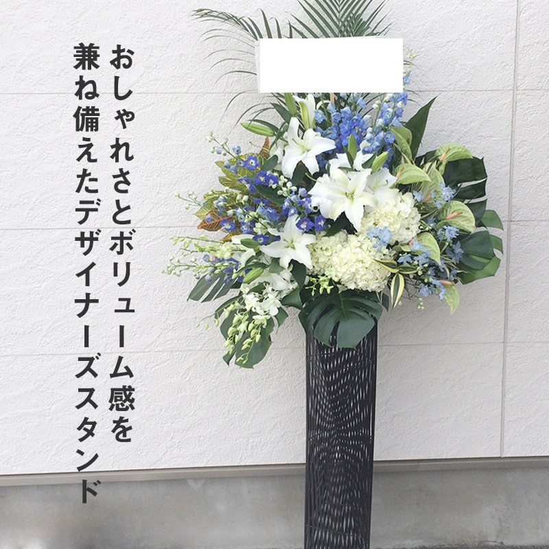 ǥʡ L [Ϥǽꥢ˭ԡ;]