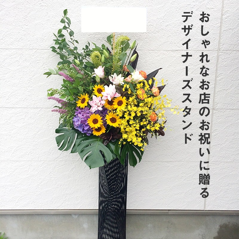 ǥʡ M [Ϥǽꥢ˭ԡ;]