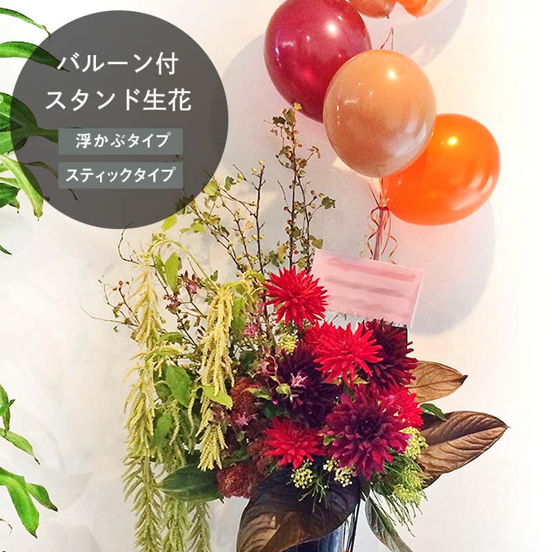 Х롼դˤ M16,500ߡܥХ롼 [Ϥǽꥢ˭ԡ;]