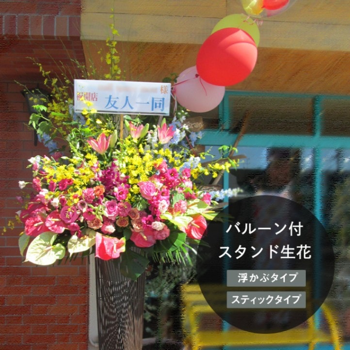 Х롼դˤ L22,000ߡܥХ롼 [Ϥǽꥢ˭ԡ;]