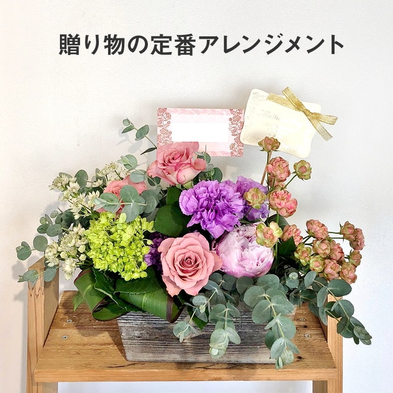 £ʪ 󥸥 M [Ϥǽꥢ˭ԡ;]