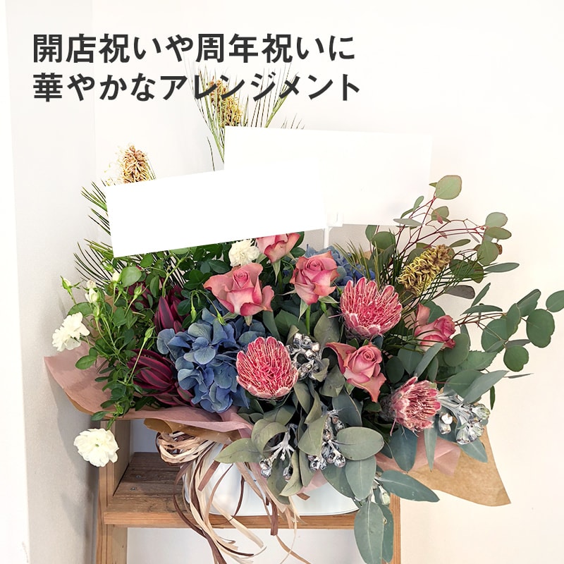 󥸥 XL  [Ϥǽꥢ˭ԡ;]