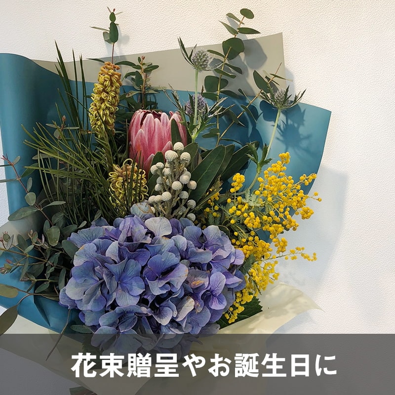 « M [Ϥǽꥢ˭ԡ;]