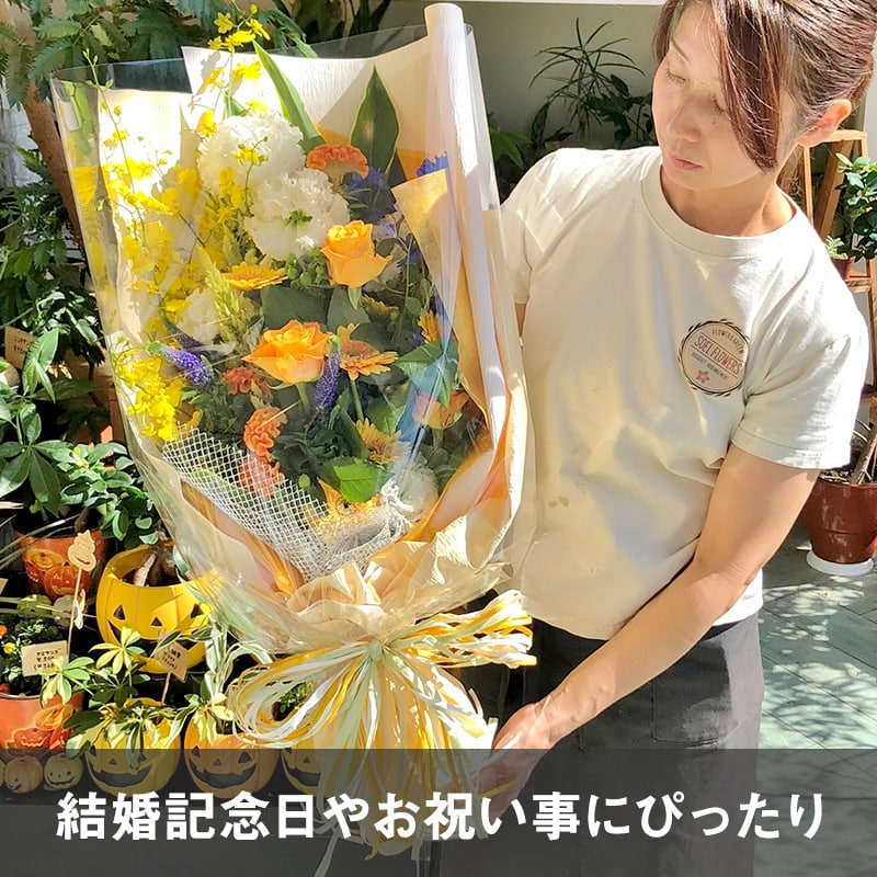 « L  [Ϥǽꥢ˭ԡ;]