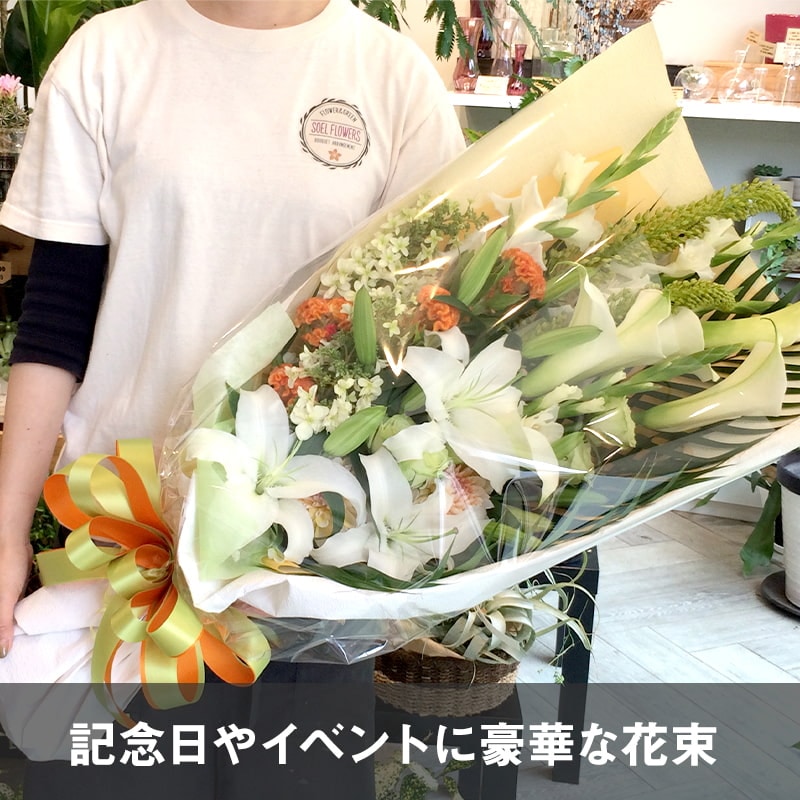 « XXL [Ϥǽꥢ˭ԡ;]