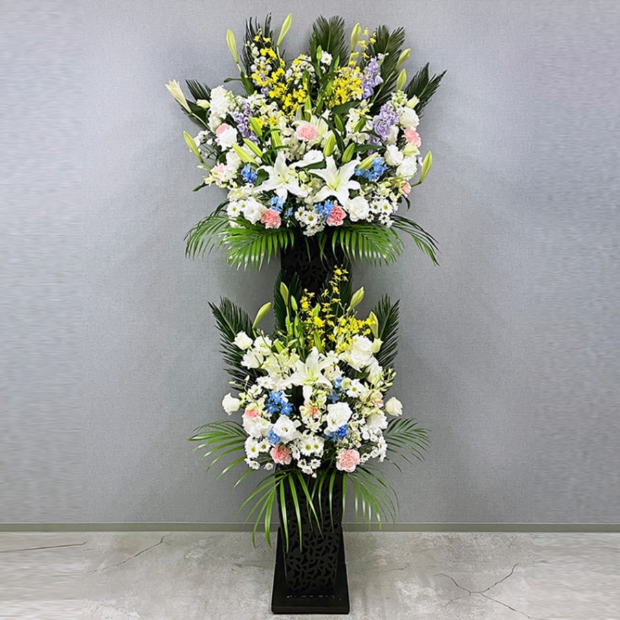 ����������������� [���Ϥ���ǽ���ꥢ��˭���ԡ��;���]