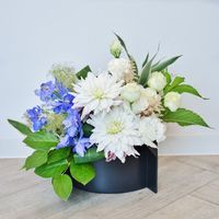 ����������󥸥��ȡ����֡� [���Ϥ���ǽ���ꥢ��˭���ԡ��;���]