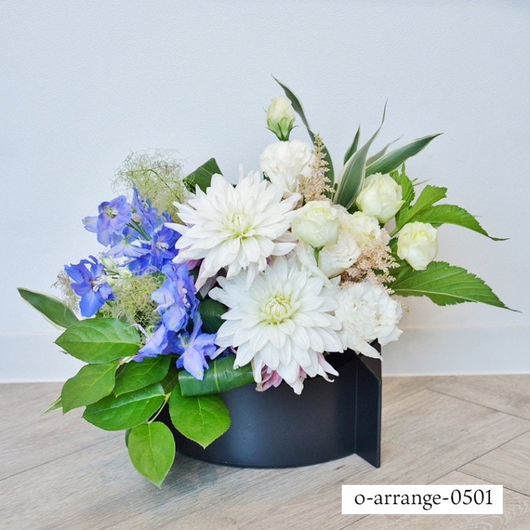 ����������󥸥��� [���Ϥ���ǽ���ꥢ��˭���ԡ��;���]