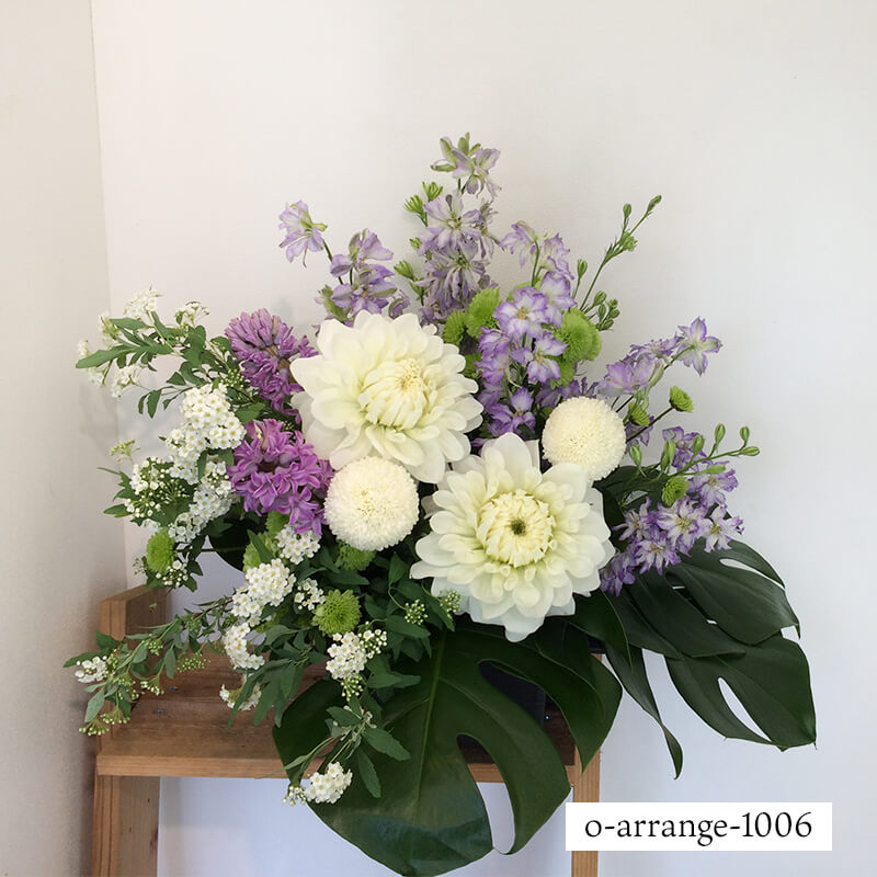 ����������󥸥��� [���Ϥ���ǽ���ꥢ��˭���ԡ��;���]