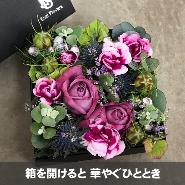 ȯ̡֤ۤäȤĤޤä եܥåL