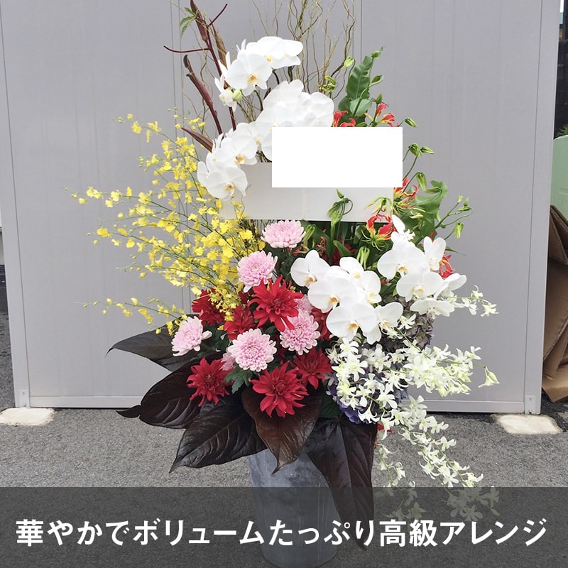 󥸥 XXXXL [Ϥǽꥢ˭ԡ;]