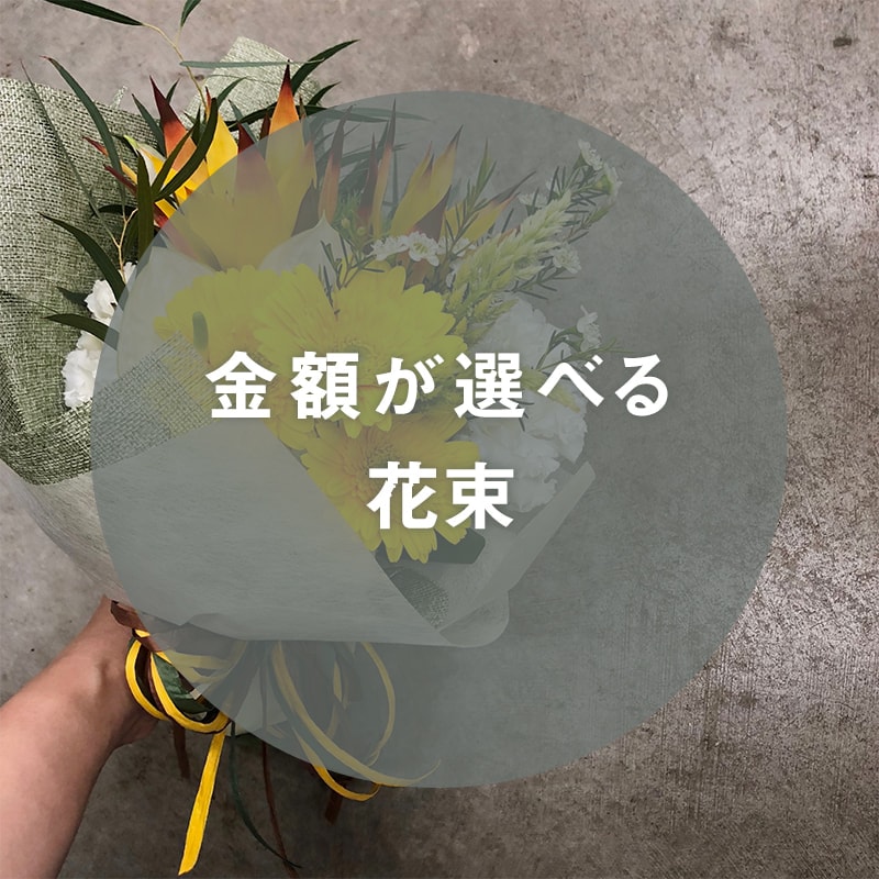 ۤ٤« [Ϥǽꥢ˭ԡ;]