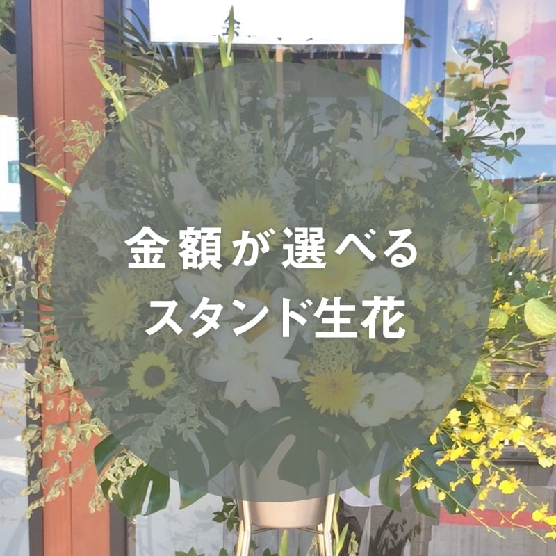 ۤ٤륹 [Ϥǽꥢ˭ԡ;]