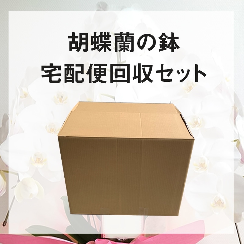 ��ĳ����ȭ���۲�����å�