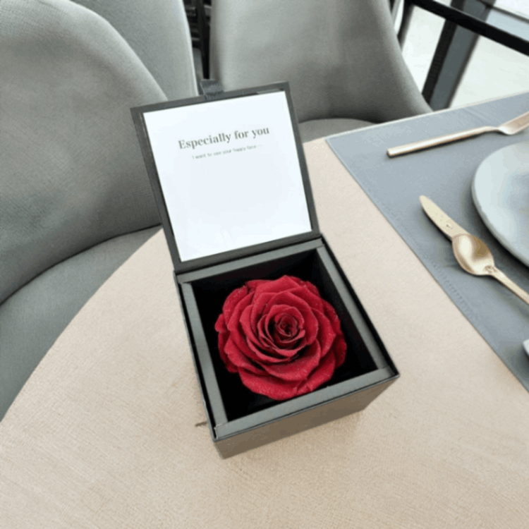 ������������ǽ������̵���� ��������ɥ����� ��L�� �ץꥶ���֥ɥե�