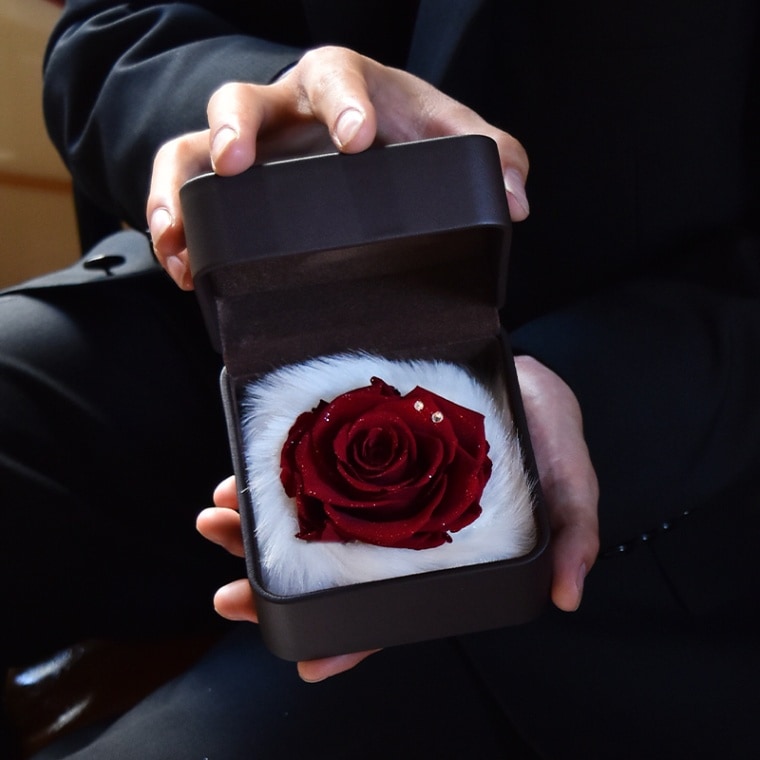 ������������ǽ������̵���� ��������ɥ����� [L�쥶��] �ץꥶ���֥ɥե�