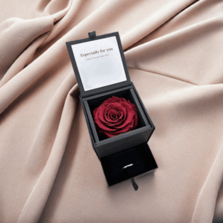 ������������ǽ������̵���� ��������ɥ����� [�ɥ����] �ץꥶ���֥ɥե�