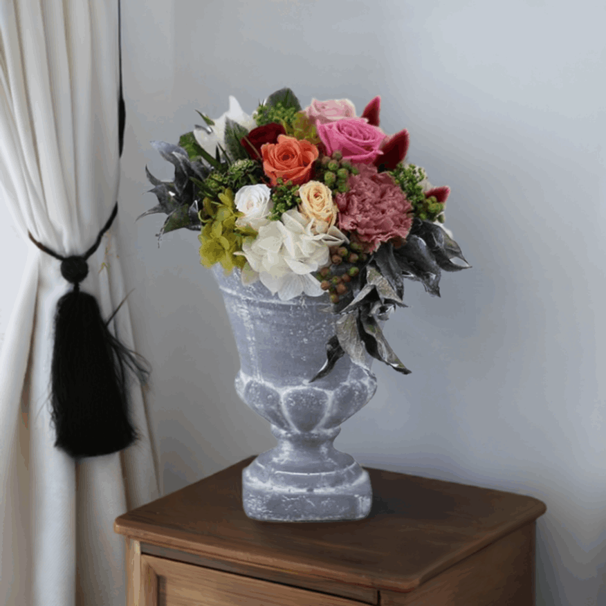 ǽ ƥĴ󥸥 ʥץꥶ֥ɥե