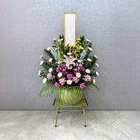 ����������ޥ������֡� [���Ϥ���ǽ���ꥢ��˭���ԡ��;���]